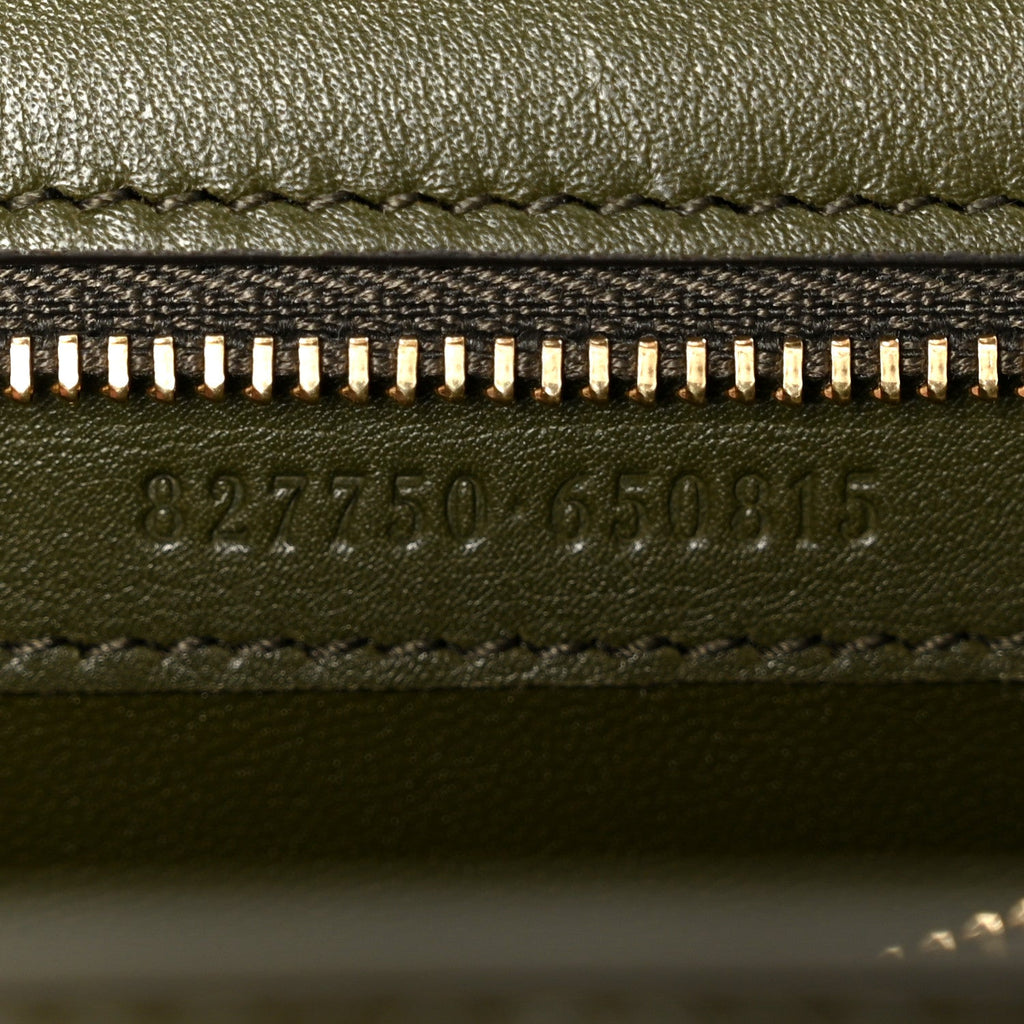 Shiny Polished Calfskin Medium Bamboo Luscious Green