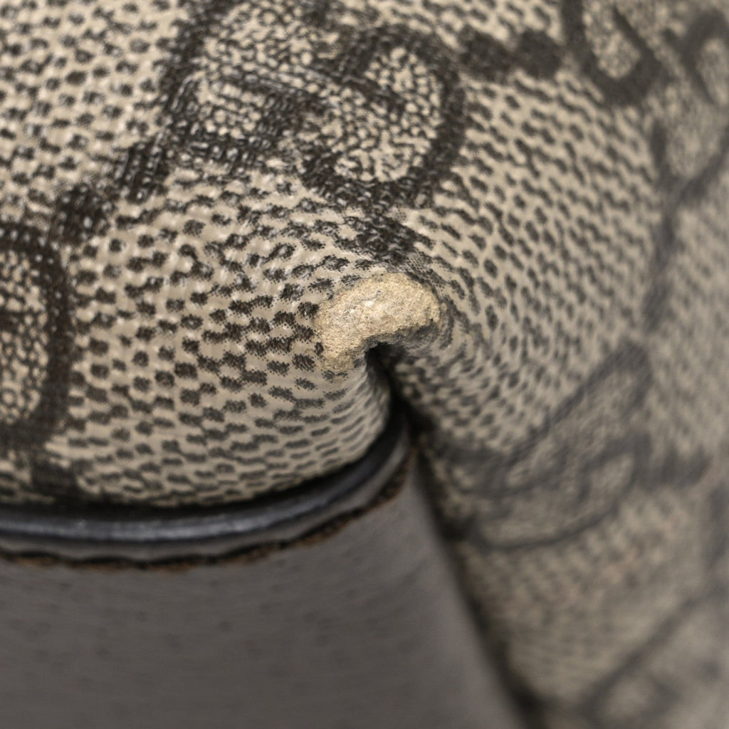 GG Supreme Monogram Textured Dollar Calfskin Web Small Ophidia Dome Shoulder Bag Beige Ebony New Acero