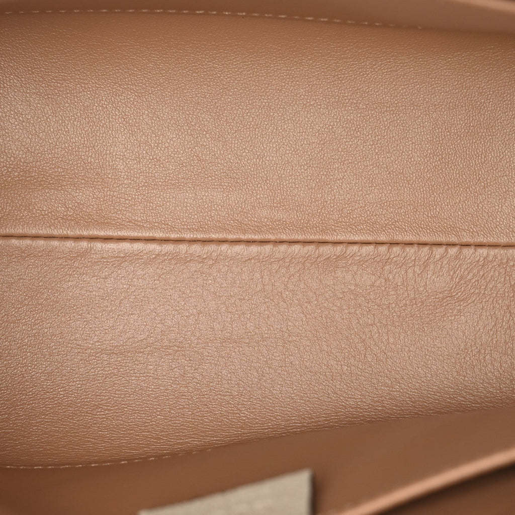 GG Supreme Monogram Berry Textured Dollar Calfskin Small Padlock Tote Beige Ebony Light Copper Mystic White