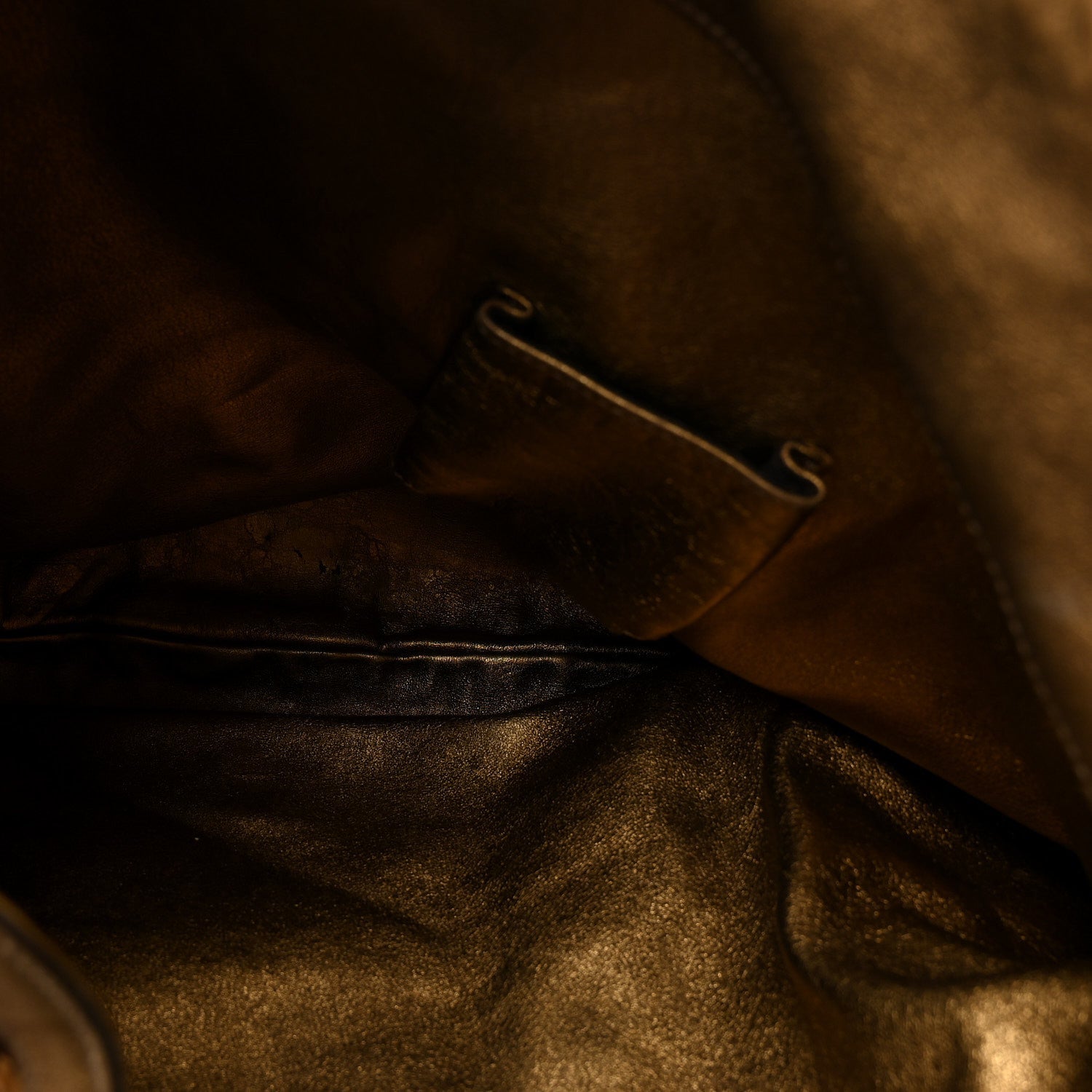 Snakeskin Large Indy Top Handle Hobo Gold