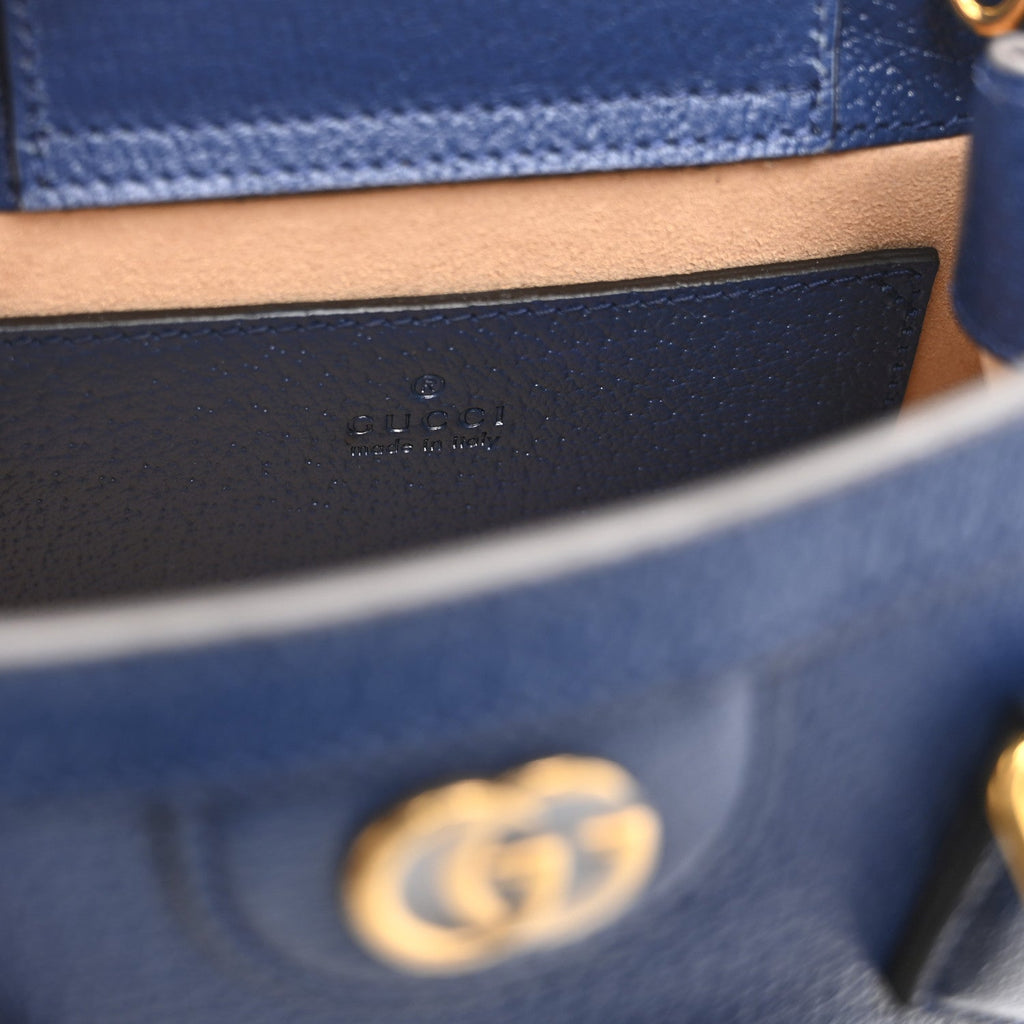 Textured Dollar Calfskin Web Mini Diana Tote Bag Royal Crop