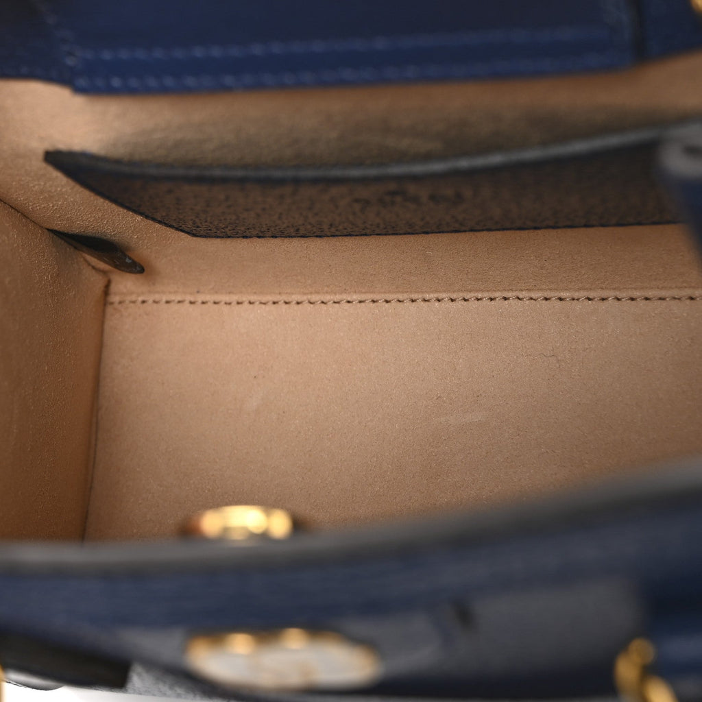 Textured Dollar Calfskin Web Mini Diana Tote Bag Royal Crop