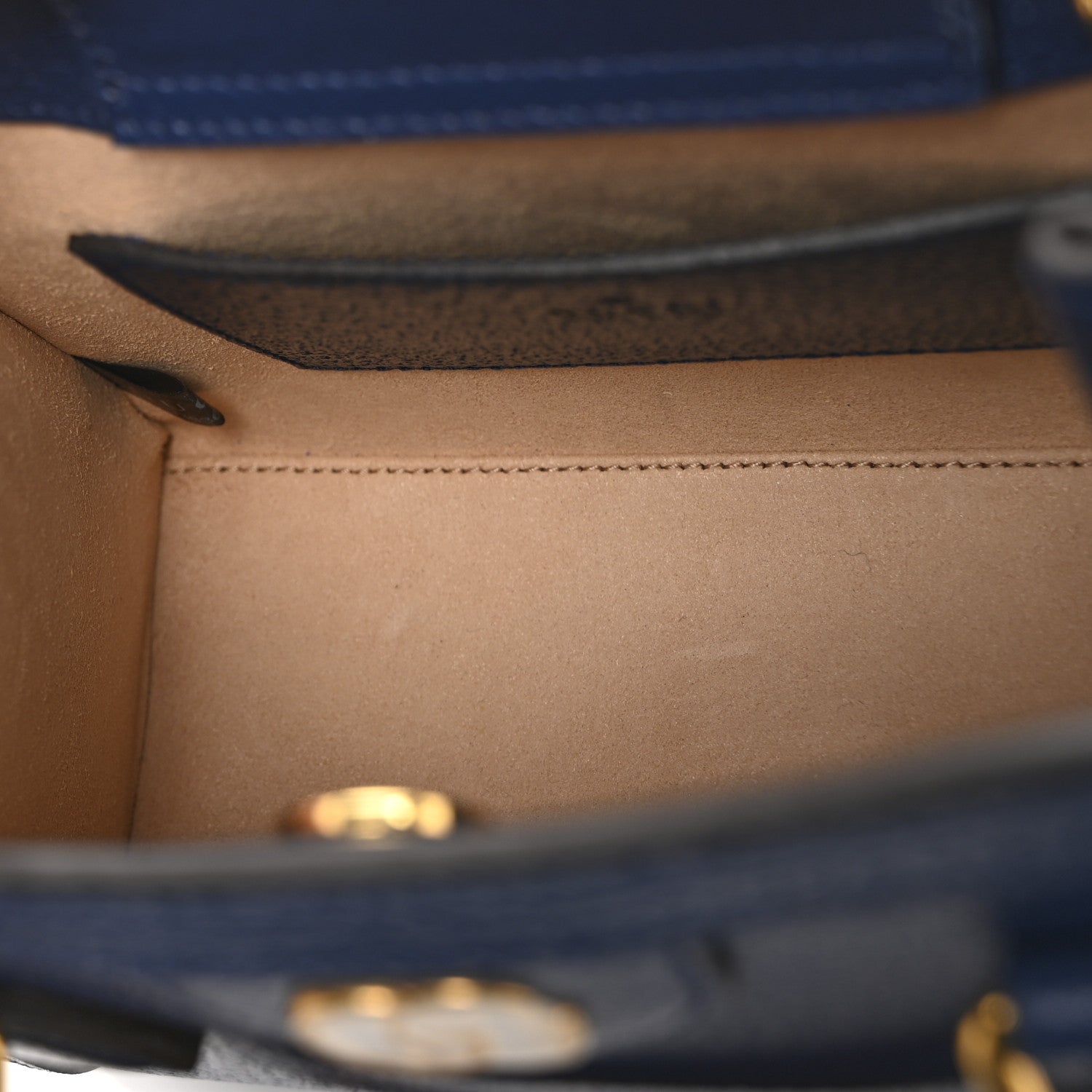 Textured Dollar Calfskin Web Mini Diana Tote Bag Royal Crop