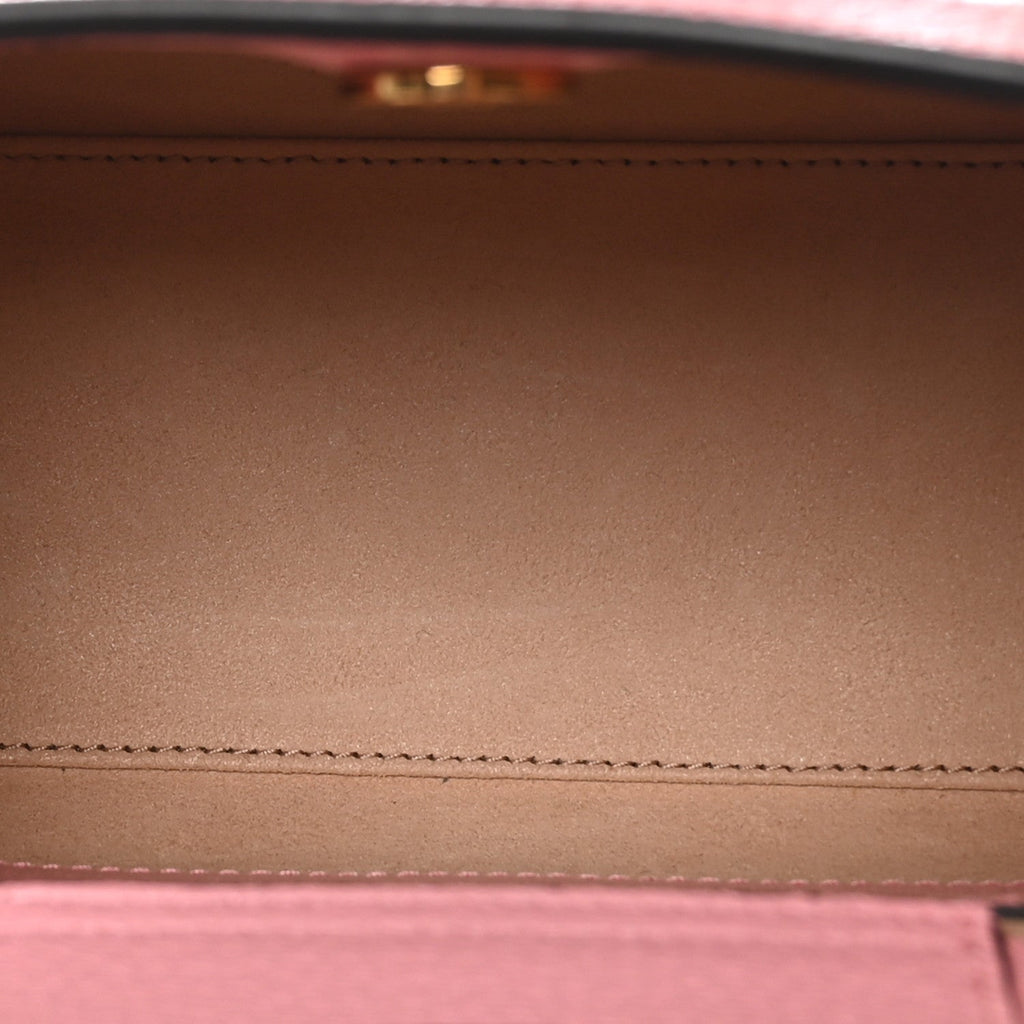 Textured Dollar Calfskin Web Mini Diana Tote Bag Wild Rose Black