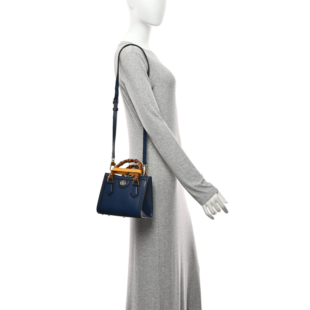 Textured Dollar Calfskin Web Mini Diana Tote Bag Royal Crop