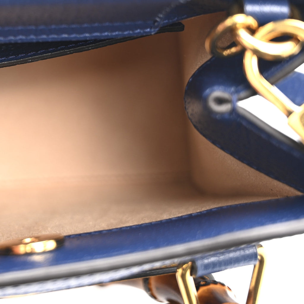 Textured Dollar Calfskin Web Mini Diana Tote Bag Royal Crop
