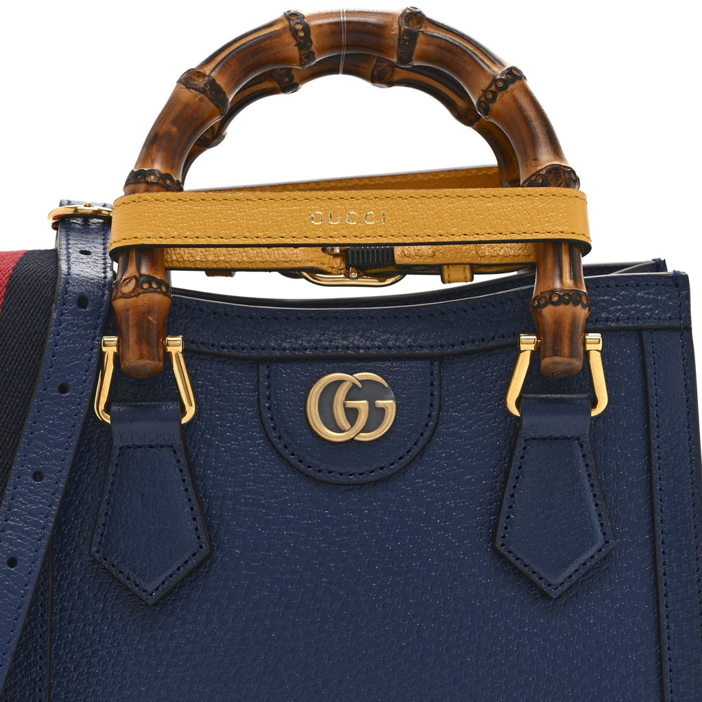 Textured Dollar Calfskin Web Mini Diana Tote Bag Royal Crop