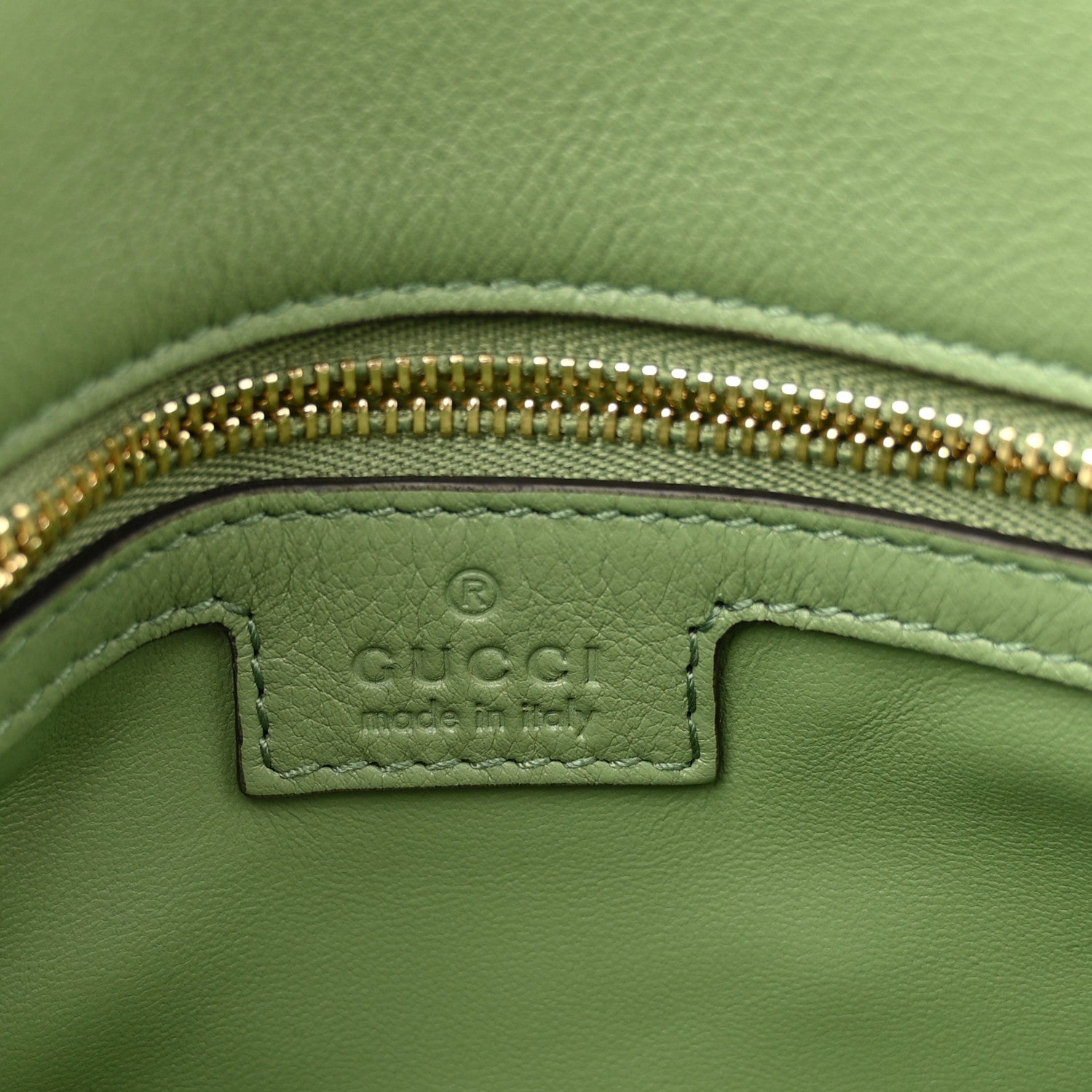 Roxy Calfskin Web Medium Blondie Top Handle Shoulder Flap Bag Salamander Green