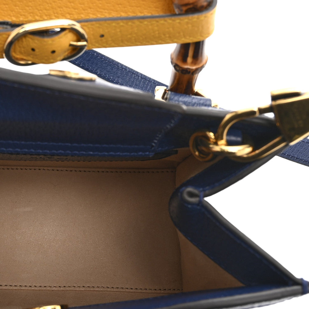 Textured Dollar Calfskin Web Mini Diana Tote Bag Royal Crop