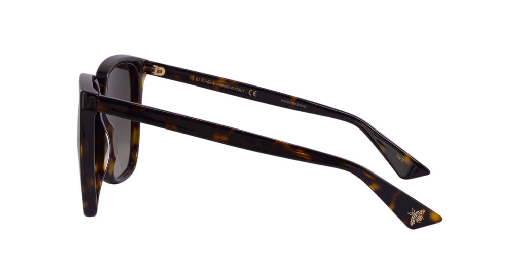 Gucci GG0022S