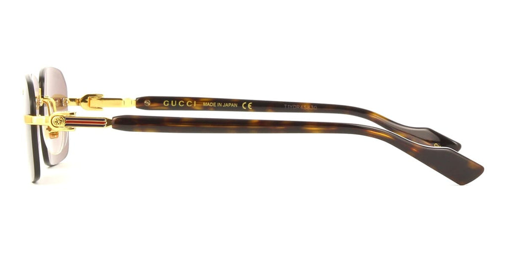 Gucci GG1221S